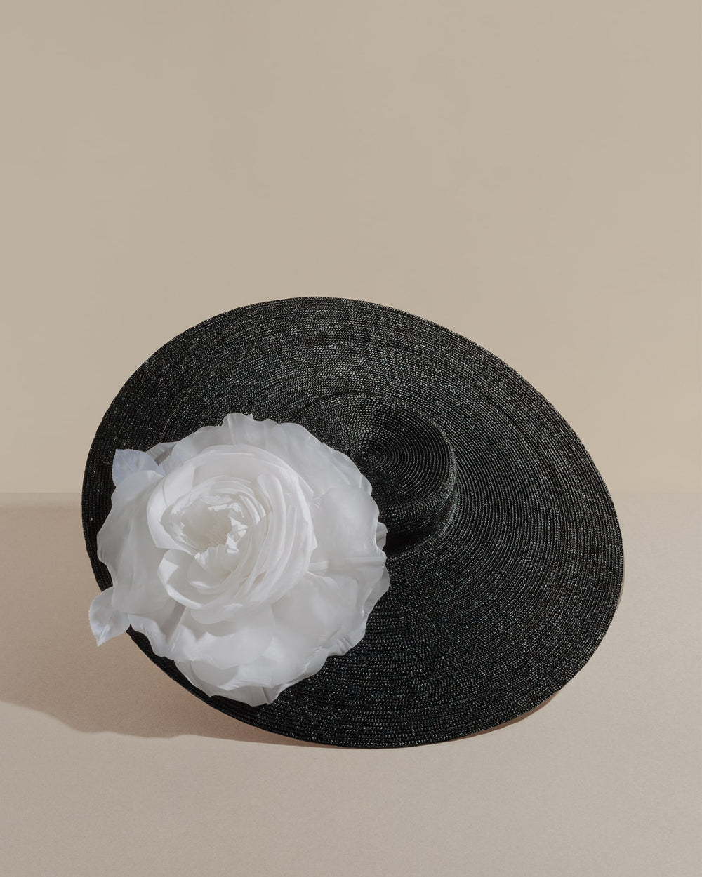 packshot black