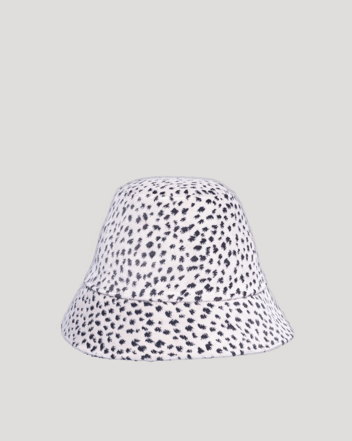 dalmatian